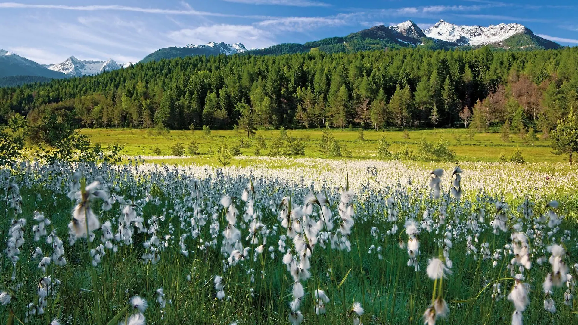Residence Biancaneve Aprica Aparthotel
